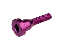 Burgtec Top Cap Bolt (Purple Rain)