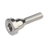 Burgtec Top Cap Bolt (Rhodium Silver)