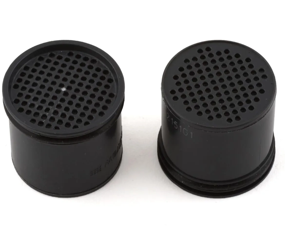 Camelbak Replacement Activated Carbon Filters by LifeStraw (2-Pack)