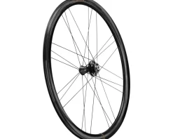 Campagnolo Bora Ultra WTO 33 Wheels (Grey) (2-Way Fit) (12 x 100mm) (700c) (Centerlock)