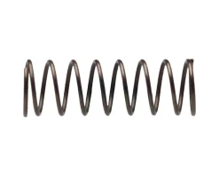 Campagnolo Cassette Body Pawl Spring (1)