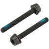 Campagnolo Disc Caliper Mounting Screws (2 x 39mm) (For 30-34mm Rear Mount Thickness)