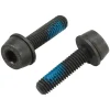 Campagnolo H11 Disc Brake Caliper Mounting Bolts (Black) (Flat Mount) (19mm)