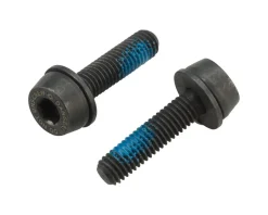 Campagnolo H11 Disc Brake Caliper Mounting Bolts (Black) (Flat Mount) (19mm)