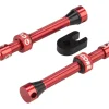 CushCore Air Valve Tubeless Valve Set (Red) (55mm)