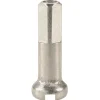 DT Swiss Brass Nipples (Silver) (1.8 x 16mm) (Box of 100)