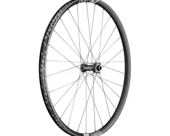 DT Swiss EX 1700 Spline Front Wheels (Black) (6-Bolt) (15 x 110mm) (29")