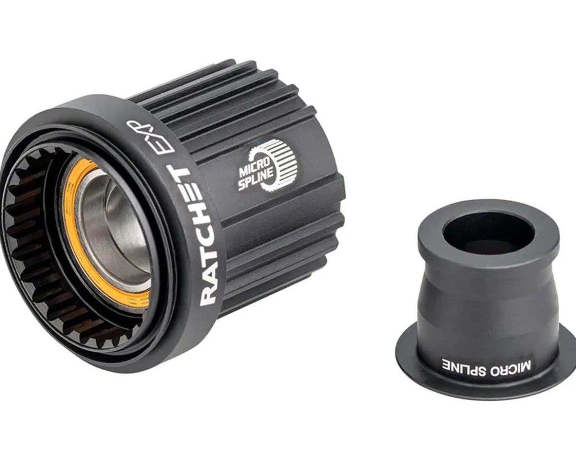 DT Swiss Ratchet EXP Freehub Body (Shimano Micro Spline) (Light) (w/ End Cap) (Ceramic Bearings) (12 x 142/148mm)