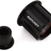 DT Swiss Ratchet Hub Freehub Body (Black) (13 Speed) (Campy N3W)