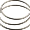 DT Swiss Star Ratchet Spring (For All Star Ratchet Hubs)