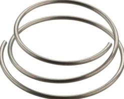 DT Swiss Star Ratchet Spring (For All Star Ratchet Hubs)