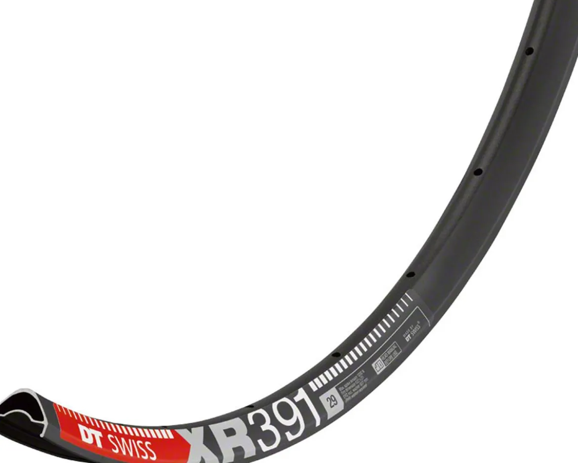 DT Swiss XR 391 Tubeless-Ready Disc Rim (Black) (28H) (29")