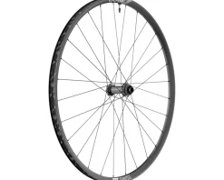 DT Swiss X 1900 Spline 25 Front Wheel (Black) (Centerlock) (15 x 100mm) (29")