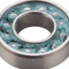 Enduro MAX 7900 Greasable AnCon Bearing