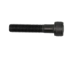 Enviolo Socket Head Cap Screw (M8 X 1.25 X 40) (Ma 12 x 148 Compatible)