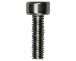 Fazua Ride 60 Ergo Ring/Hub Control Mount Screw