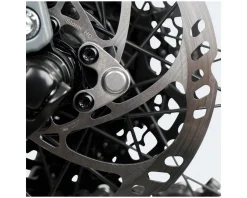 Fazua Ride 60 Speed Sensor Magnet (6-Bolt)