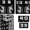 Fox Suspension Custom Decal Kit (Battleship Grey)