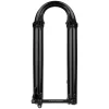 Fox Suspension Lower Leg Assembly (2021 36 29in 130-170, 15x110 QR, F-S PE-S, Shiny Black)