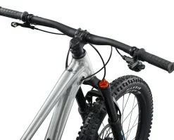 Giant Faith 24 Kids Mountain Bike (Raw Aluminum) (24