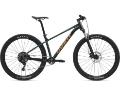 Giant Talon 29 2 Mountain Bike (Asphalt Green) (S)