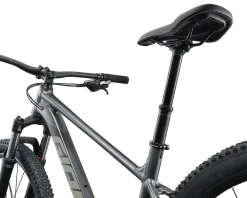 Giant Talon 29 1 Mountain Bike (Charcoal) (L)