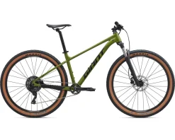 Giant Talon 29 2 Mountain Bike (Dried Matcha) (S)