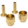 Hayes Insert & Olive Kit (2-Pack)