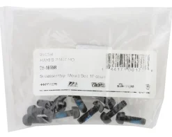 Hayes Disc Brake Caliper Mounting Bolts (Black) (10 Pack)