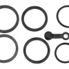 Hope Caliper Seal Kit (V4)