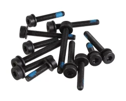 Magura Flat Mount Screw Set (Rear) (Pack of 12) (T25)