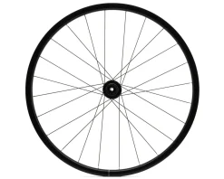 Mavic Aksium 1 Disc Road Wheel (Black) (Shimano HG 11/12) (Front & Rear) (12x100mm, 12x142mm) (700c) (Centerlock) (Tube