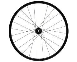 Mavic Aksium 1 Disc Road Wheel (Black) (Shimano HG 11/12) (Front & Rear) (12x100mm, 12x142mm) (700c) (Centerlock) (Tube