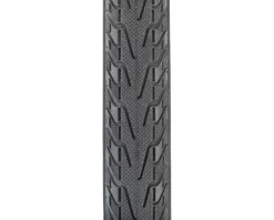 Panaracer Pasela Road Tire (Black) (700c) (28mm) (Wire)