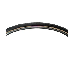 Panaracer Pasela Road Tire (Tan Wall) (27