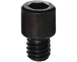 Park Tool 116S Cap Screw (For 100-3C Profesional Clamp)
