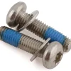 Paul Components Stainless Mounting Bolts (T-25) (Pair) (For Flat Mount Calipers) (20mm)