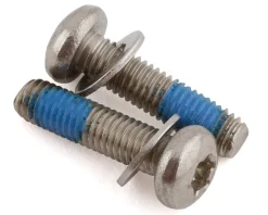 Paul Components Stainless Mounting Bolts (T-25) (Pair) (For Flat Mount Calipers) (20mm)