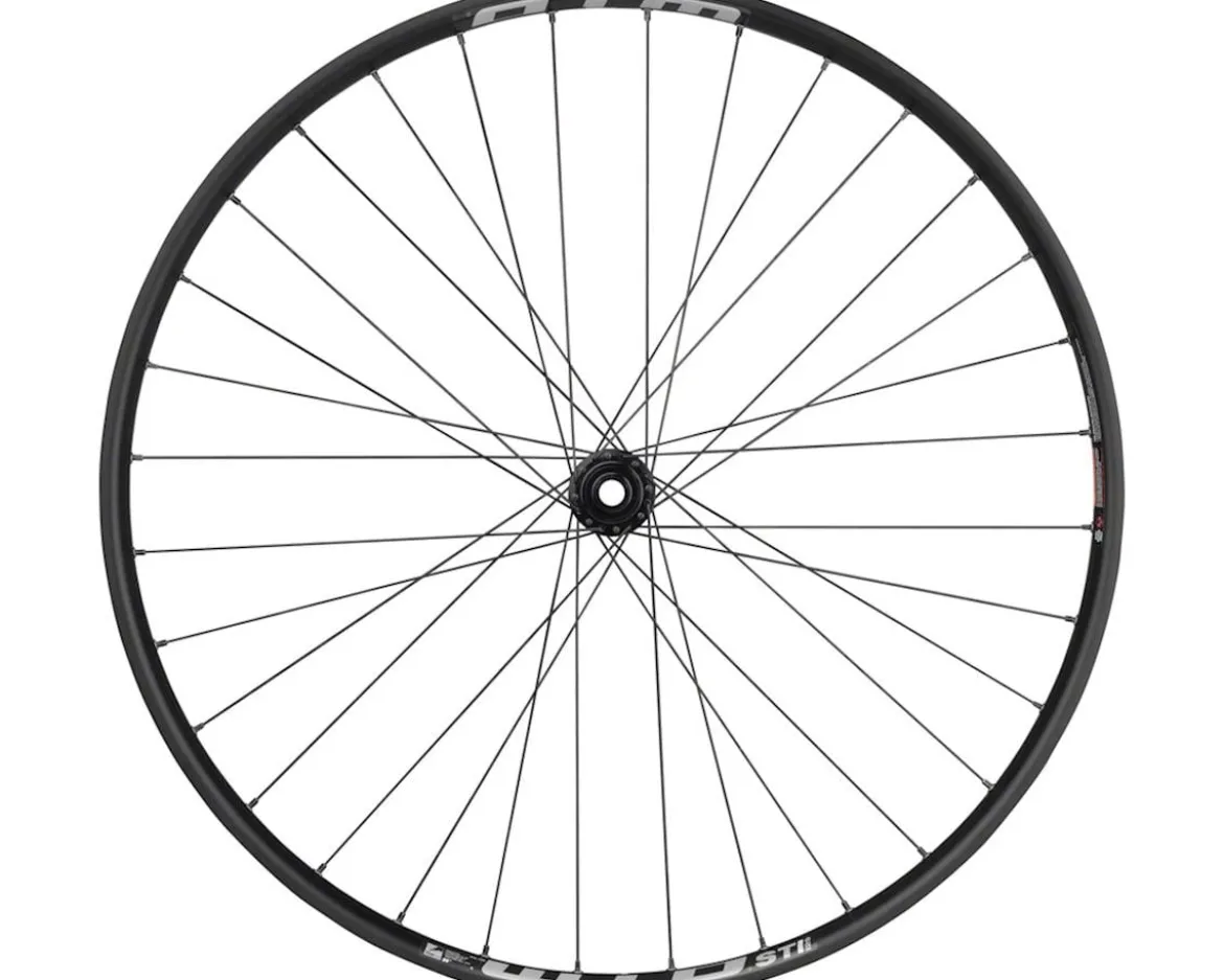 Quality Wheels Bear Pawls/WTB ST i30 Front Wheel (29") (15 x 110mm) (Centerlock) (32H)