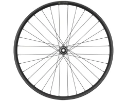 Quality Wheels MTB E-Bike Front Wheel (29") (15 x 110mm) (Centerlock)