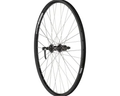 Quality Wheels Shimano/DH19 Mountain Rear Wheel (Black) (Shimano HG) (QR x 135mm) (26")
