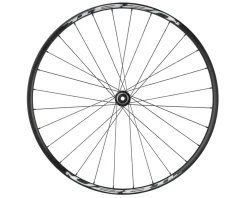 Quality Wheels Shimano Tiagra/Weinmann U28 Wheel (Black) (Front) (12 x 100mm) (700c) (Centerlock)