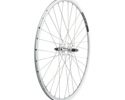 Quality Wheels Value Double Wall Series Track Rear Wheel (Silver) (Freewheel) (10 x 120mm) (700c) (Sealed) (Flip-Flop Hub)