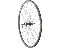 Quality Wheels Value Double Wall Series Rim/Disc Rear Wheel (Black) (Shimano HG) (QR x 135mm) (26") (Centerlock/Rim Brake) (Tubeless)