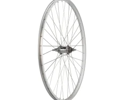 Quality Wheels Value Single Wall Series Coaster Brake Rear Wheel (700c) (3/8