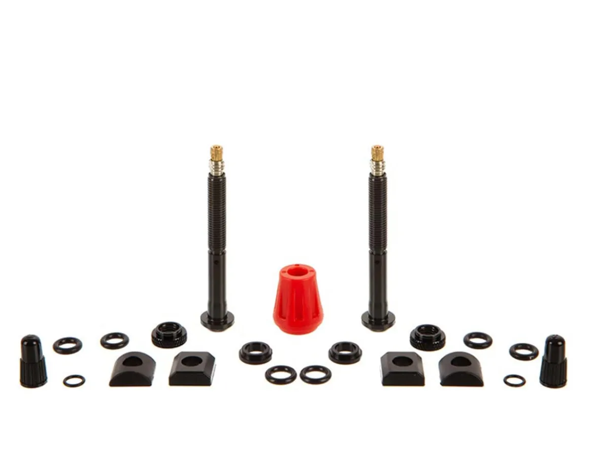 Quarq Tyrewiz 2.0 Tubeless Valve Stem Pack (Black) (Pair) (Length A)