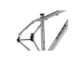 Salsa Fargo Ti Frameset (Brushed Titanium) (M)