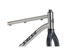Salsa Fargo Ti Frameset (Brushed Titanium) (M)