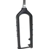 Salsa Kingpin Carbon Deluxe Fork (Black) (15 x 150mm)