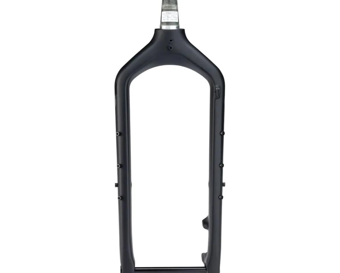 Salsa Kingpin Carbon Deluxe Fork (Black) (15 x 150mm)